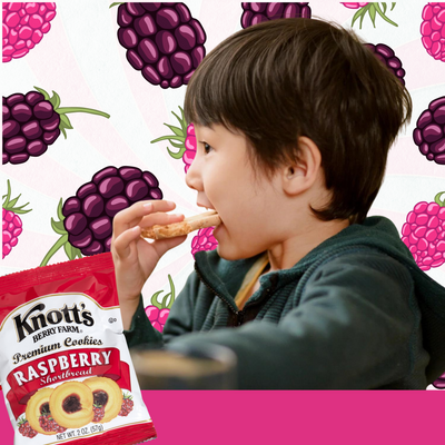 Knott's Berry Farm Premium RaspBerry Jam ( 18 Pack )